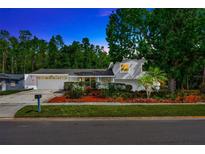 Charming home featuring a well-manicured lawn, beautiful landscaping, and a two-car garage at 4012 Woodacre Ln, Tampa, FL 33624