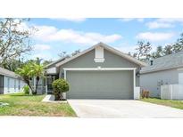Charming one-story home with a two car garage, well-manicured lawn, and lush landscaping at 5825 Meadowpark Pl, Lithia, FL 33547