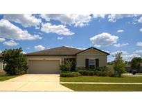 Charming single-story home boasts a well-manicured lawn and inviting curb appeal under a sunny sky at 19047 Alfaro Loop, Spring Hill, FL 34610