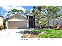Charming single-story home featuring a well-manicured lawn and a two-car garage with beautiful landscaping at 2405 Dakota Rock Dr, Ruskin, FL 33570