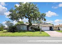 Charming single-story home featuring a lush front lawn and a majestic, mature shade tree at 5042 Gaston St, Spring Hill, FL 34607