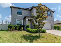 Charming two-story home with a well-maintained lawn and landscaping, including a young tree and trimmed shrubs at 6653 Mineral Springs Rd, New Port Richey, FL 34653