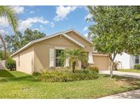 Tan home with a well-maintained lawn, complemented by a lush palm tree, and a tidy exterior at 10036 Crested Fringe Dr, Riverview, FL 33578
