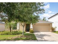 Charming single-Gathering home featuring a manicured lawn, mature tree, and a two-car garage at 10036 Crested Fringe Dr, Riverview, FL 33578