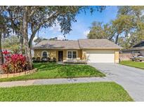 Charming home featuring a well-manicured lawn, mature trees, and a freshly painted exterior at 1017 Hamilton Ave, Tarpon Springs, FL 34689