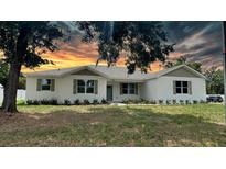 Charming single story home featuring a brick facade, dark green shutters, manicured landscaping and a warm sunset sky at 13532 14Th St, Dade City, FL 33525