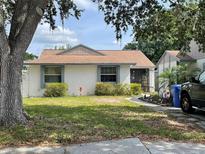 Charming single-story home with a well-maintained lawn and mature trees at 16035 Grass Lake Dr, Tampa, FL 33618