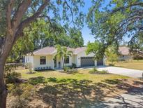 Charming single-story home featuring a spacious driveway, lush green lawn, and a well-maintained two-car garage at 18902 Spring Hollow Dr, Lutz, FL 33559