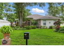 Charming home featuring a lush green lawn, mature trees, and a decorative mailbox at the front of the property at 4101 Brooke Dr, Valrico, FL 33594