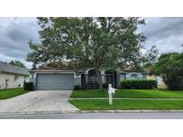 Charming single-story home featuring a well-manicured lawn, mature tree, and gray siding with an attached two-car garage at 29042 Rivergate Run, Wesley Chapel, FL 33543