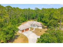 Aerial view of one story home surrounded by lush trees and a lengthy concrete driveway at 7340 West Dr, Wesley Chapel, FL 33544