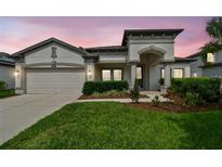 Beautiful single-story home featuring a manicured lawn and a two-car garage at 8320 Bluevine Sky Dr, Land O Lakes, FL 34637