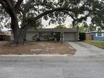 Charming single-story home with mature trees and a well-maintained front yard at 8696 118Th St, Seminole, FL 33772