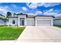 Charming single-story home with well-manicured lawn, two-car garage and a modern design at 18657 Obregan Dr, Spring Hill, FL 34610