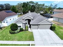 Charming single-story home featuring a well-manicured lawn and a convenient two-car garage at 1919 Oswego Dr, Holiday, FL 34691
