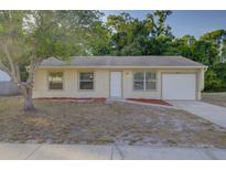 Charming single-story home featuring a manicured lawn and inviting front entrance at 10319 Widgeon Way, New Port Richey, FL 34654