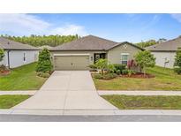 Charming single-story home with manicured lawn, mature trees, and an attached two-car garage at 19041 Alfaro Loop, Spring Hill, FL 34610