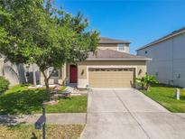 Charming two-story home with a well-manicured front yard, large tree and a red front door at 20404 Autumn Fern Ave, Tampa, FL 33647
