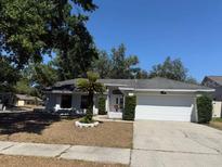 Charming single-story home with a two-car garage and a well-manicured front yard at 1710 Tallowtree Cir, Valrico, FL 33594