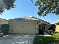 Charming single-Gathering home featuring a well-maintained front yard and an attached two-car garage at 11227 Summer Star Dr, Riverview, FL 33579