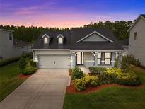 Charming single-Gathering home featuring a well-manicured lawn, two-car garage, and welcoming front porch at 15170 Aviles Pkwy, Odessa, FL 33556