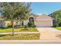 Charming single-story home featuring a well-manicured lawn, mature tree, and a two-car garage at 16616 Magnolia Reserve Pl, Wimauma, FL 33598