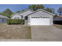 Charming single-story home featuring a two-car garage and well-maintained landscaping at 18918 Emerald Ridge Dr, Hudson, FL 34667