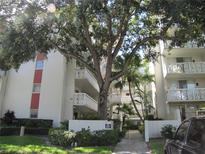 Inviting condo building with mature landscaping and a walkway entrance, offering a serene residential setting at 2630 Pearce Dr # 208, Clearwater, FL 33764
