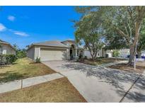 Charming single-story home with a well-maintained lawn, mature tree, and a two-car garage at 10048 Creek Bluff Dr, Riverview, FL 33578