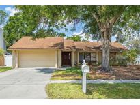 Charming single-story home featuring a well-maintained lawn and mature trees at 12606 Rain Forest St, Temple Terrace, FL 33617