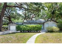Charming single-story home with a well-manicured lawn and mature shade trees at 1310 Hilton Pl, Tampa, FL 33604