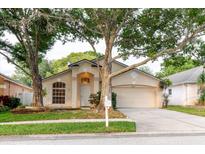 Charming single-Gathering home with a two-car garage and mature trees at 24839 Wild Frontier Dr, Land O Lakes, FL 34639