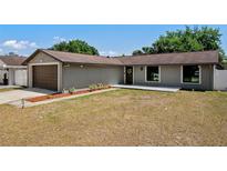 Charming single-story home with a well-maintained lawn and inviting entrance at 6812 Fountain Ave, Tampa, FL 33634