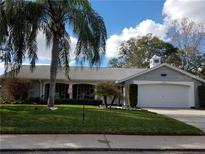 Charming single story home with a well manicured lawn, palm trees, and a two car garage at 12303 Fieldstone Ln, Hudson, FL 34667