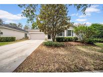 Charming single-story home featuring a lush front yard and attached two-car garage at 15810 Starling Water Dr, Lithia, FL 33547