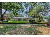 Charming single-story home with well-manicured lawn and mature trees providing ample shade and curb appeal at 3416 W Morrison Ave, Tampa, FL 33629