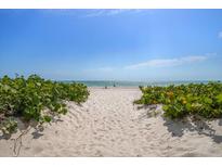 Sandy beach path leading to the ocean with lush green vegetation on either side under a clear blue sky at 19530 Gulf Blvd # 4A, Indian Shores, FL 33785