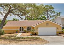 Charming single-story home with a terra cotta roof, bright yellow exterior, and a well-manicured lawn at 315 Ridge Rd, Palm Harbor, FL 34683