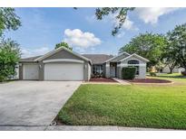 Charming single-story home with a well-manicured lawn and a three-car garage at 4708 Ranch Grove Ct, Valrico, FL 33596