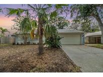 Charming home featuring mature landscaping, a two-car garage and a welcoming driveway at 1041 Forest Grove Blvd, Palm Harbor, FL 34683
