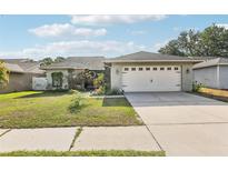 Charming one-story home with a well-manicured lawn and a two-car garage at 11849 Cedarfield Dr, Riverview, FL 33579