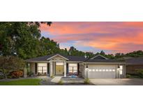 Charming single-story home showcasing a landscaped front yard and a serene sunset backdrop at 8401 Ashford Pl, Trinity, FL 34655