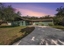 Inviting single-story home featuring a long driveway, lush lawn, and tasteful landscaping with a unique dark green exterior at 8517 Woodwick Ct, Tampa, FL 33615