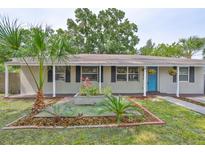 Charming single-story home featuring a well-maintained front yard with vibrant landscaping and a welcoming blue front door at 3915 W Leila Ave, Tampa, FL 33616