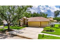 Charming single-story home with well-manicured lawn and a spacious three-car garage at 17711 Hampshire Oak Dr, Tampa, FL 33647