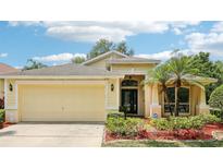 Charming single-story home featuring a two-car garage, well-maintained landscaping, and a welcoming entrance at 10150 Heather Sound Dr, Tampa, FL 33647