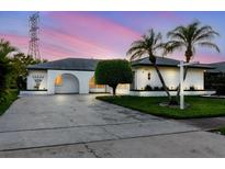 Charming single-story home with well-manicured lawn and mature palm trees at dusk at 10430 42Nd N St, Clearwater, FL 33762