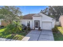 Charming single-story home featuring a well-manicured lawn, screened entry, and attached garage at 12426 Dawn Vista Dr, Riverview, FL 33578