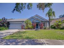 Charming blue single-story home boasting a well-manicured lawn and lush, tropical landscaping at 7107 Colonial Lake Dr, Riverview, FL 33578