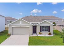 Charming single-story home with a well-manicured lawn and neutral-colored facade, showcasing its inviting curb appeal at 8891 Bower Bass Cir, Wesley Chapel, FL 33545